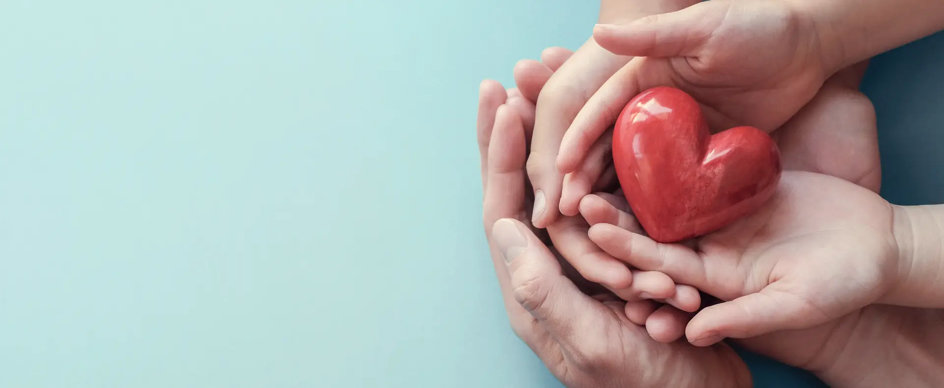 תמונת אוירה